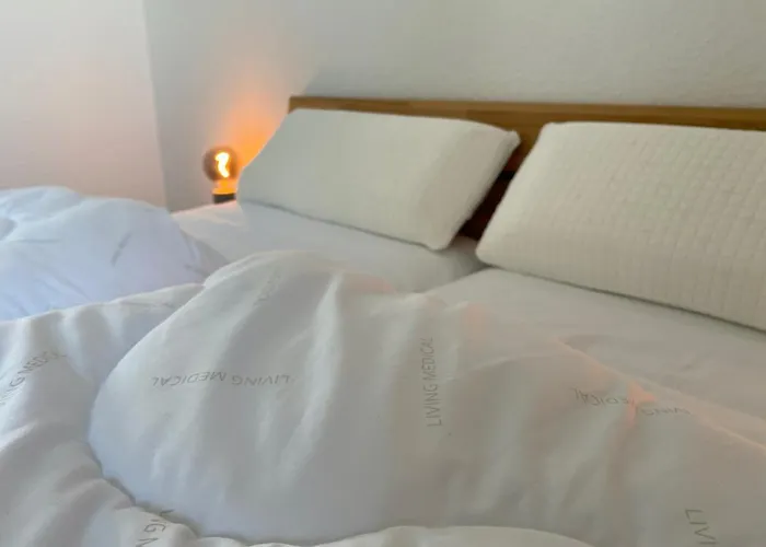 Ferienwohnung Muschel - Haus Seeschwalbe